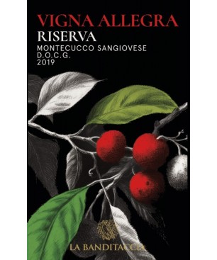 Bundle Sangiovese