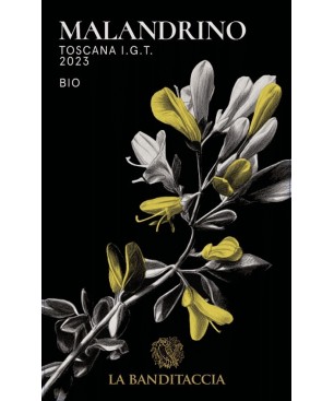 Bundle Banditaccia