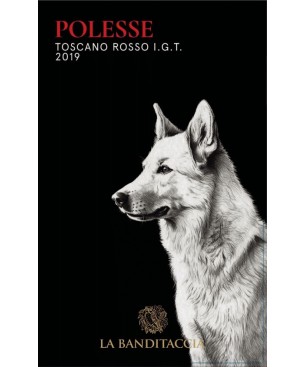 Bundle Banditaccia